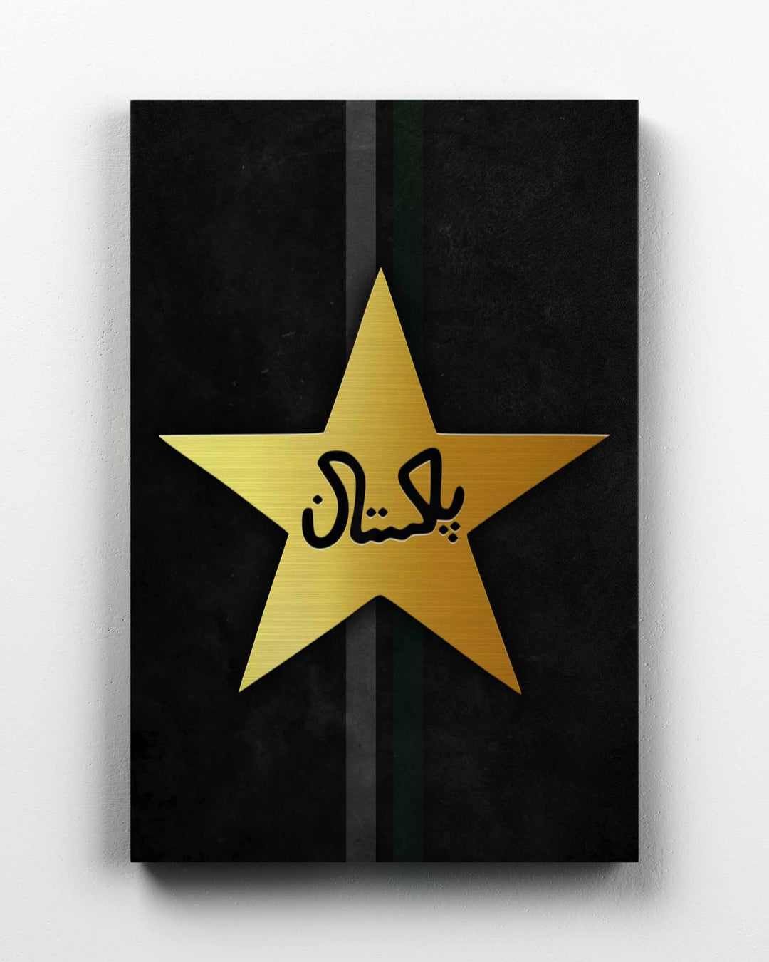 Pakistan Cricket Team - Main Image